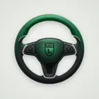 Car Driving Theory Test iOS Icon