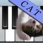 Cat Piano: Keys That Meow iOS Icon