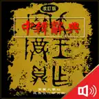 고려대 중한사전 - ChKo DIC icon
