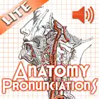 Anatomy Pronunciations Lite iOS Icon