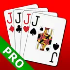 Euchre 3D Pro iOS Icon