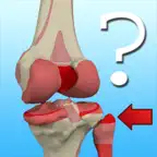 Anatomy Knee Quiz iOS Icon
