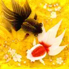 Wa Kingyo - Goldfish Pond iOS Icon