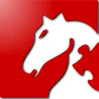 Chess Puzzler Icon
