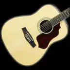 12-String Guitar Tuner Simple Icon