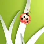 Relaxing Sounds Of Nature & SPA Music iOS Icon
