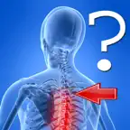 Anatomy Spine Quiz iOS Icon
