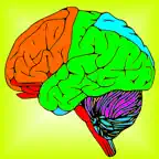 Brain & Nerves: The Human Nervous System Anatomy iOS Icon