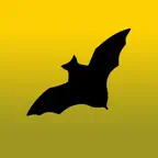 Bat Sounds icon