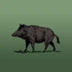 Wild Hog Sounds icon