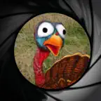 Jive Turkey Shoot iOS Icon