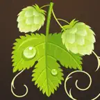 My Brew icon