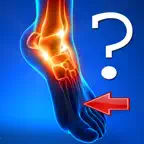 Anatomy Foot Quiz iOS Icon