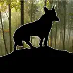 The Hungry Wolf Icon