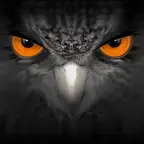 EagleEyes-plus iOS Icon