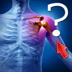 Anatomy Shoulder Quiz iOS Icon