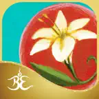 Soul Lessons Oracle Cards icon