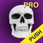 Halloween Countdown Pro Push iOS Icon