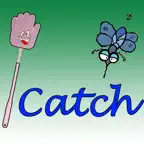 iCatcha iOS Icon