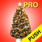 Christmas Countdown Pro Push iOS Icon