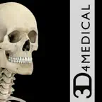 Skeleton System Pro III iOS Icon