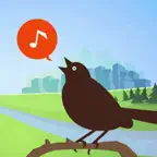 Chirp! Bird Songs & Calls USA iOS Icon