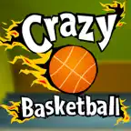 Crazy Basketball iOS Icon