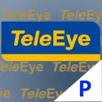 TeleEye iView-HD for iPhone iOS Icon