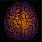 DualBrain+  Brain Training iOS Icon