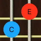 Guitar Interval Ear Trainer iOS Icon
