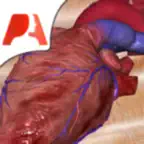 Pocket Heart Icon