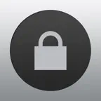 Passwords & Pins icon