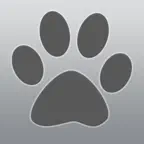 Puppy Age iOS Icon