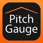 Pitch Gauge Icon