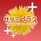 Sashimi Plus iOS Icon