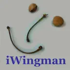 iWingman Icon