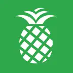 PineApp Icon