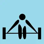 HIT Log iOS Icon