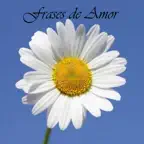 Frases y Consejos de Amor iOS Icon