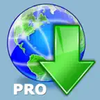 iSaveWeb Pro iOS Icon