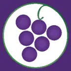 WTSO Icon