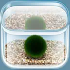 The Marimo iOS Icon