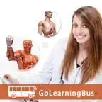Human Body Anatomy & Strength Anatomy by GoLearningBus iOS Icon