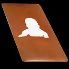 Baby Journal 2010 iOS Icon