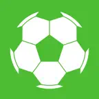 Soccer Teammate icon