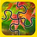 iPuzzled Icon