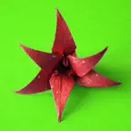 Origami Flowers iOS Icon