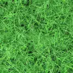 Grass iOS Icon