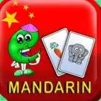 Learn Chinese - Flash Cards iOS Icon