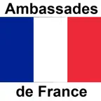Ambassades de France iOS Icon